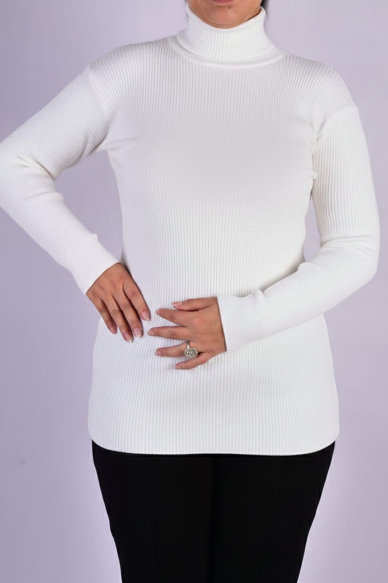 Basic winter top